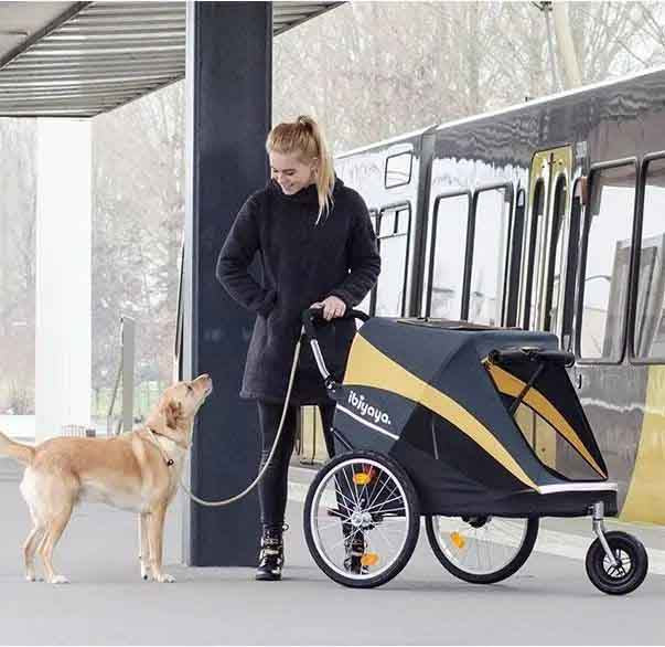 Which brand of pet stroller is best? Are pet strollers useful?