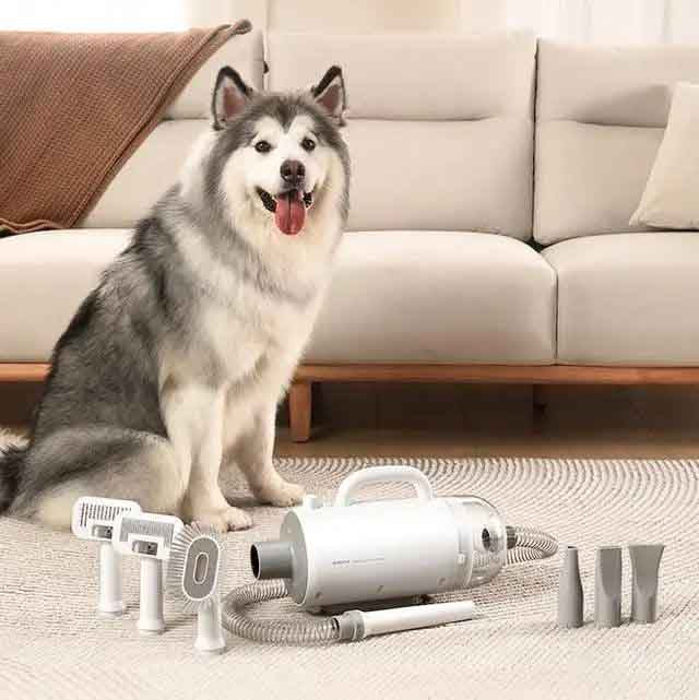 Which pet hair extractor is easy to use and affordable? Recommended brands and models for reference