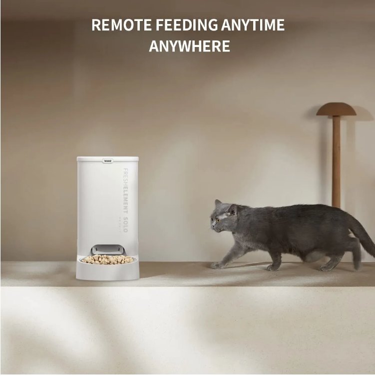 Are automatic feeders an IQ tax? Is it suitable for your pet?