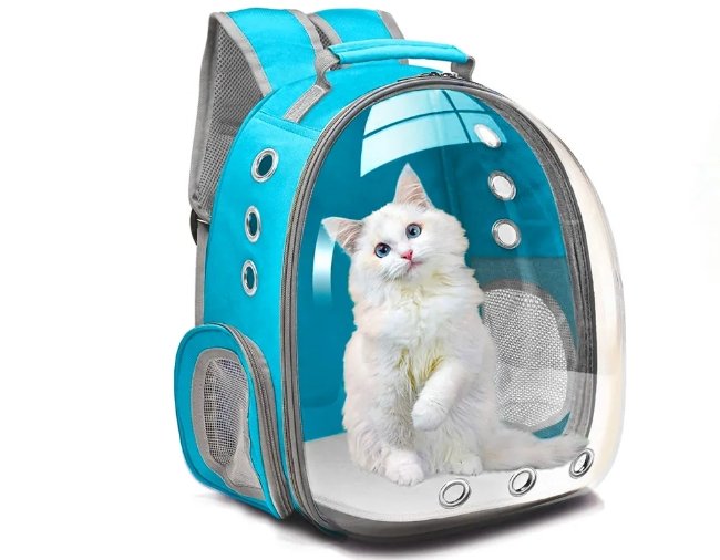 10 Cute Backpacks to Bring Your Cat Everywhere（2）