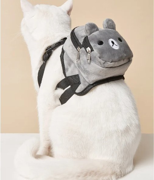 10 Cute Backpacks to Bring Your Cat Everywhere（3）