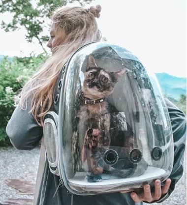 The 6 Best Cat Backpacks for 2022