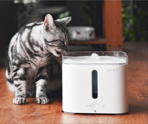 Smart-home kits keep owners connected to pampered pets