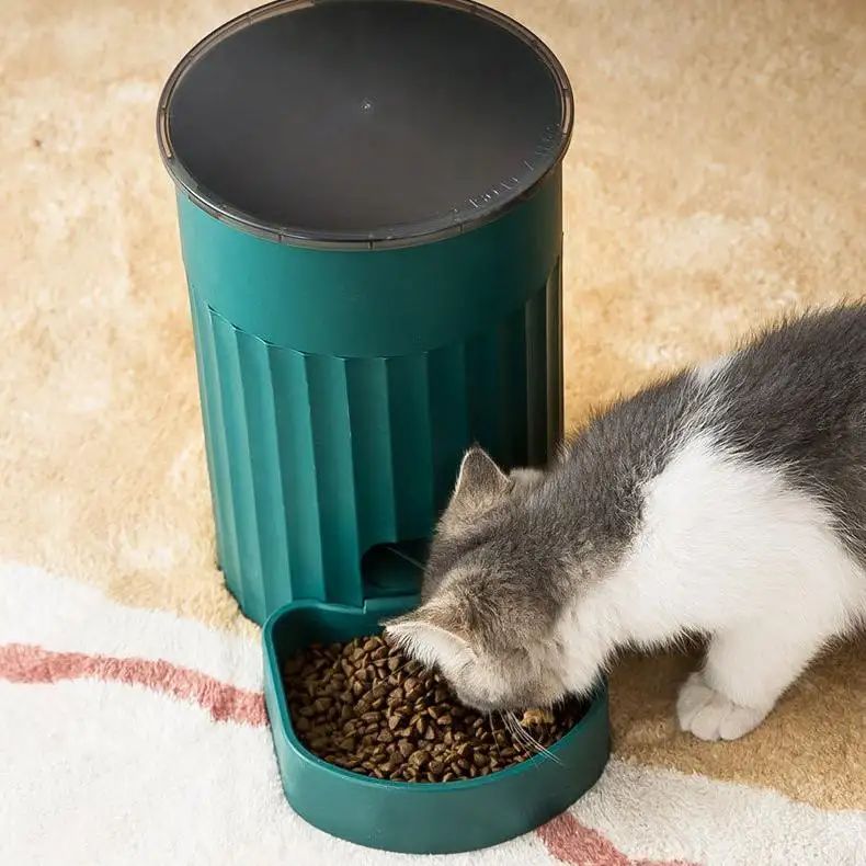 How to feed cats regularly and quantitatively