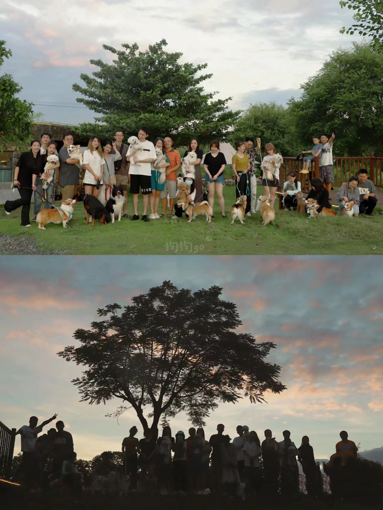 PETHUHOU company team building outdoor activities! Pet lovers, are you ready?