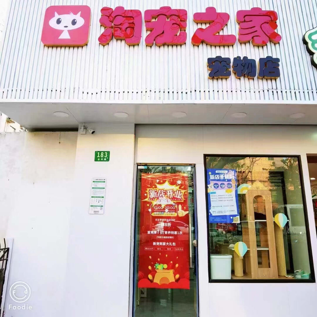 The physical pet life hall in Shanghai, China has opened.