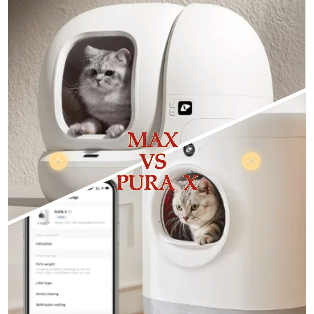 How about a smart cats litter box? Is it suitable for your cat?