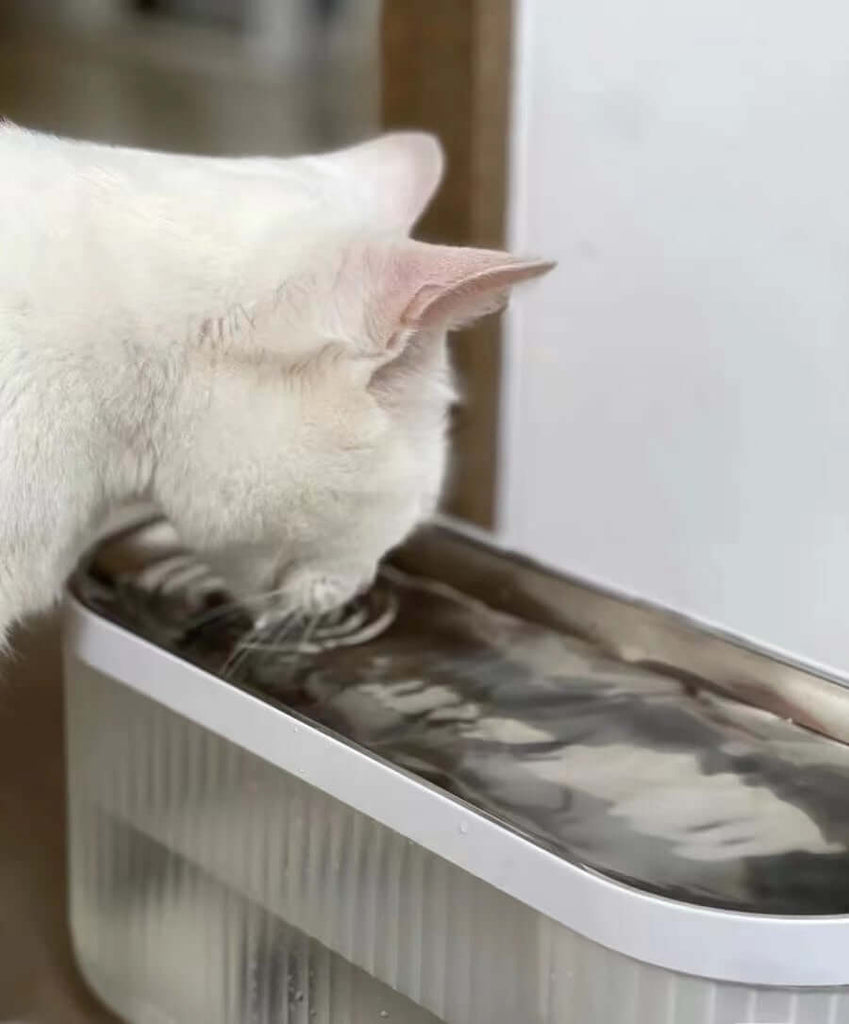 With it, the cat will no longer resist drinking water, and become a good baby in seconds