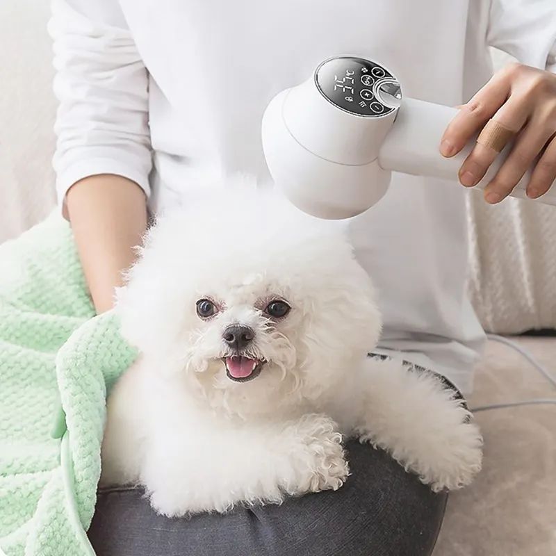 Let you know about pet grooming tools