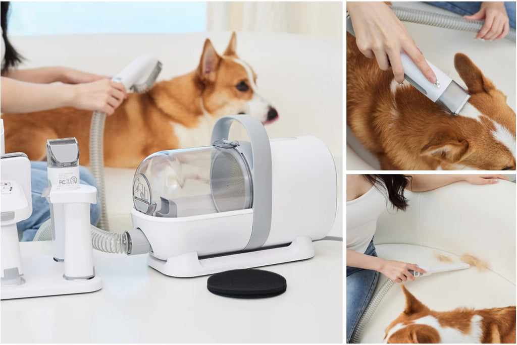 Homeika Dog Grooming Kit & Vacuum: The Ultimate Solution for Pet Grooming