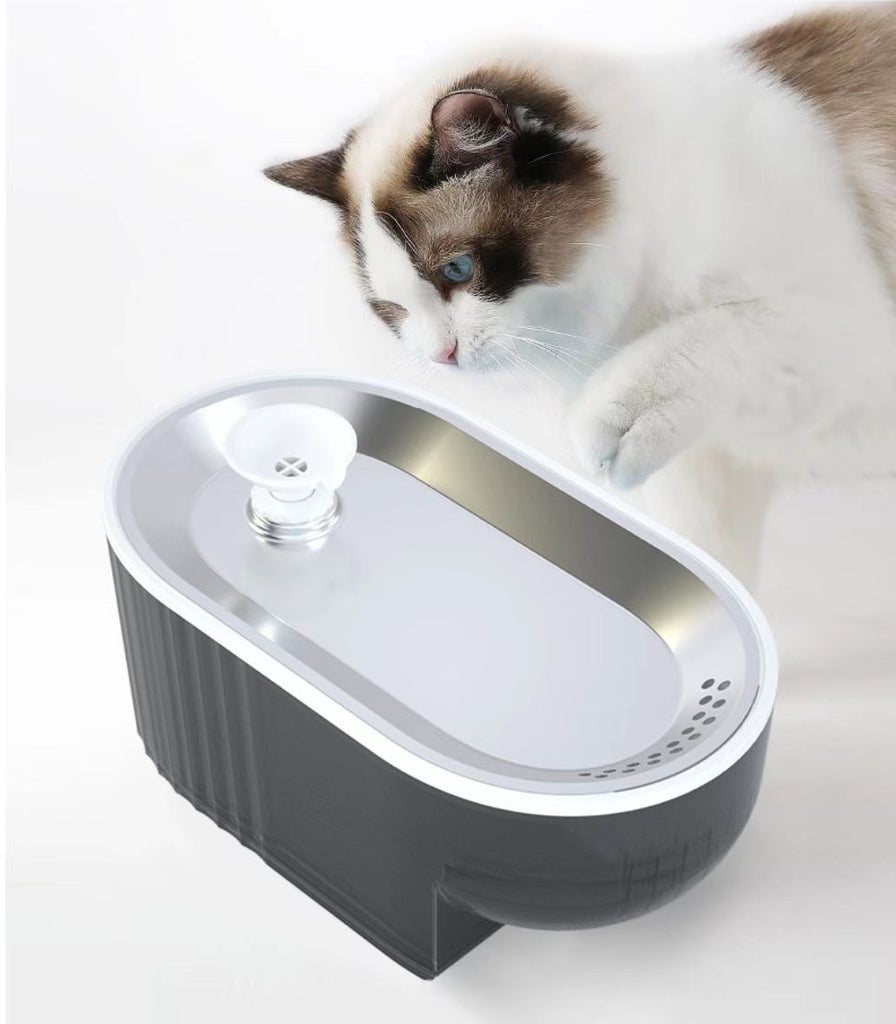 Why should we choose Smart Cat Fountain？