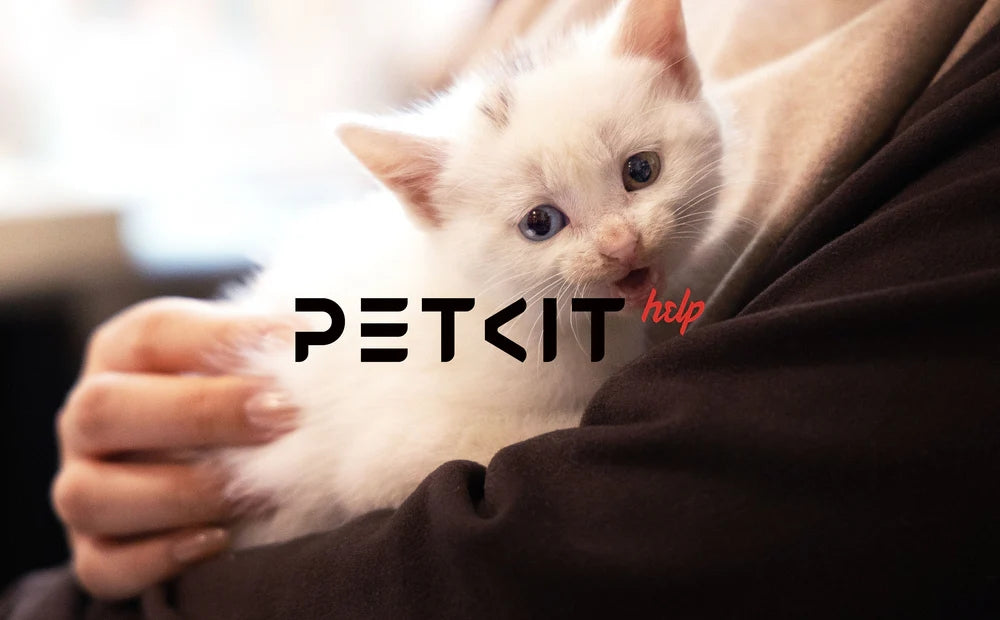 PETKIT Xiaopei Brand History and New Product Release