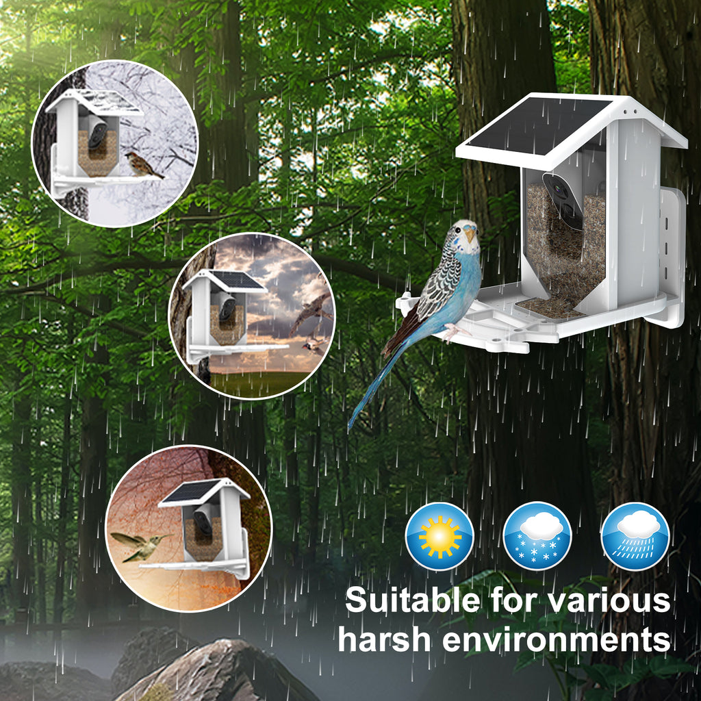 Newest Waterproof Designed Outdoor Smart Bird Feeder Camera Observe Birds Activity And Eating