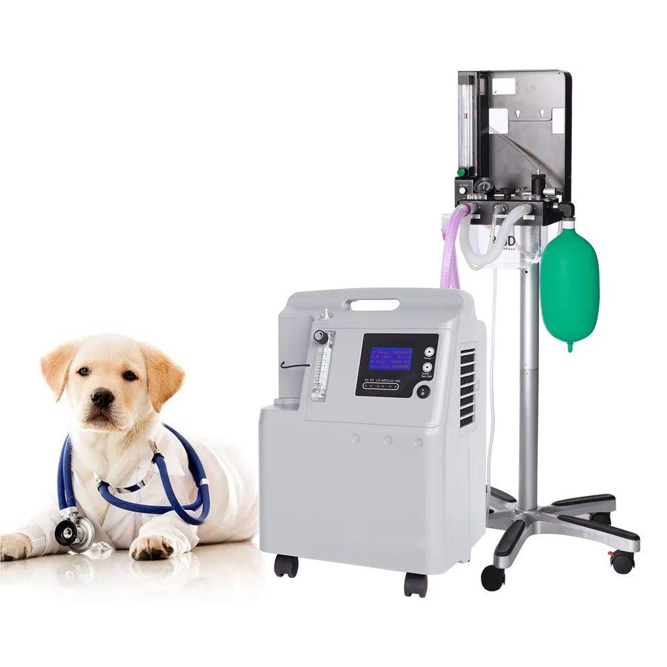 Pet Animals Oxygen Therapy 5L PSA Oxygen Concentrator For Veterinary Hospital