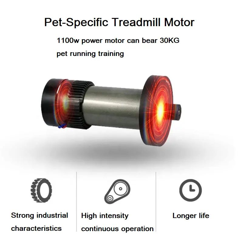 MT Medical Pet Dog Treadmill Sports Running Machine Pet Treadmill Animal Electric Treadmill