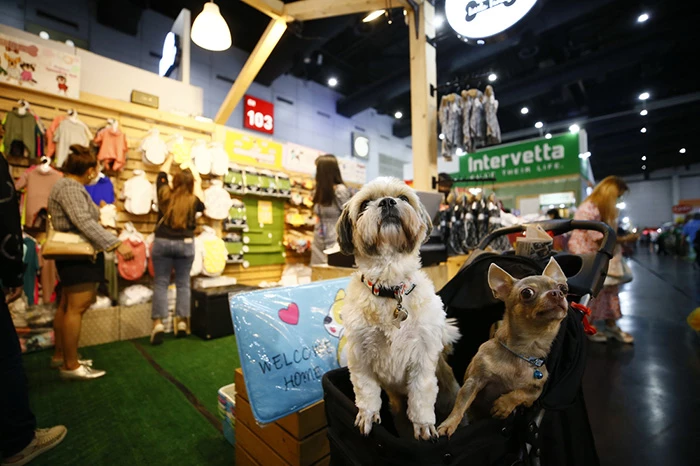 International Pet Products Exhibition, Toy Exhibition, Pet Clothing Exhibition, Cat Food Exhibition, Dog Food Exhibition