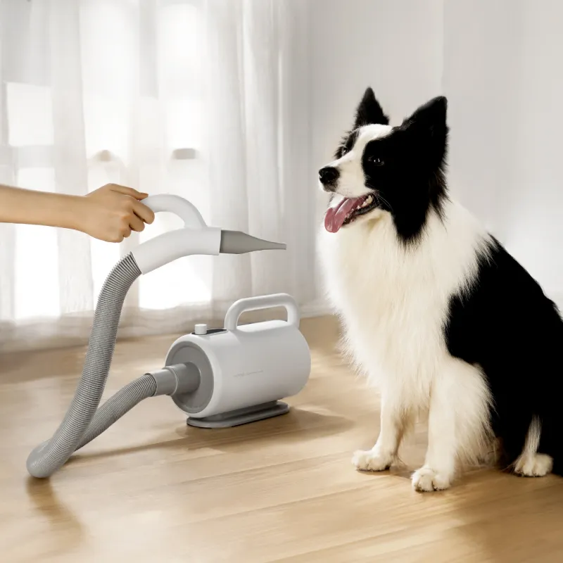 产品 Wholesale Intelligent Adjustable Speed Pet Hair Dryer Low Noise High Power Dog Hair Blower Cat Hair Grooming Dryer