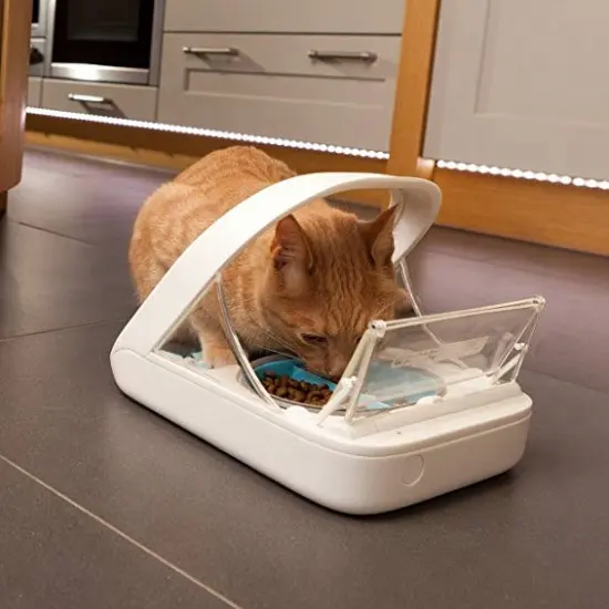 smart microchip pet feeder automatic cat food feeding bowl suitable for dry food wet food automatic dog bowl