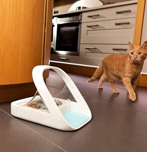 Wholesale smart microchip pet feeder automatic cat food feeding bowl suitable for dry food wet food automatic dog bowl