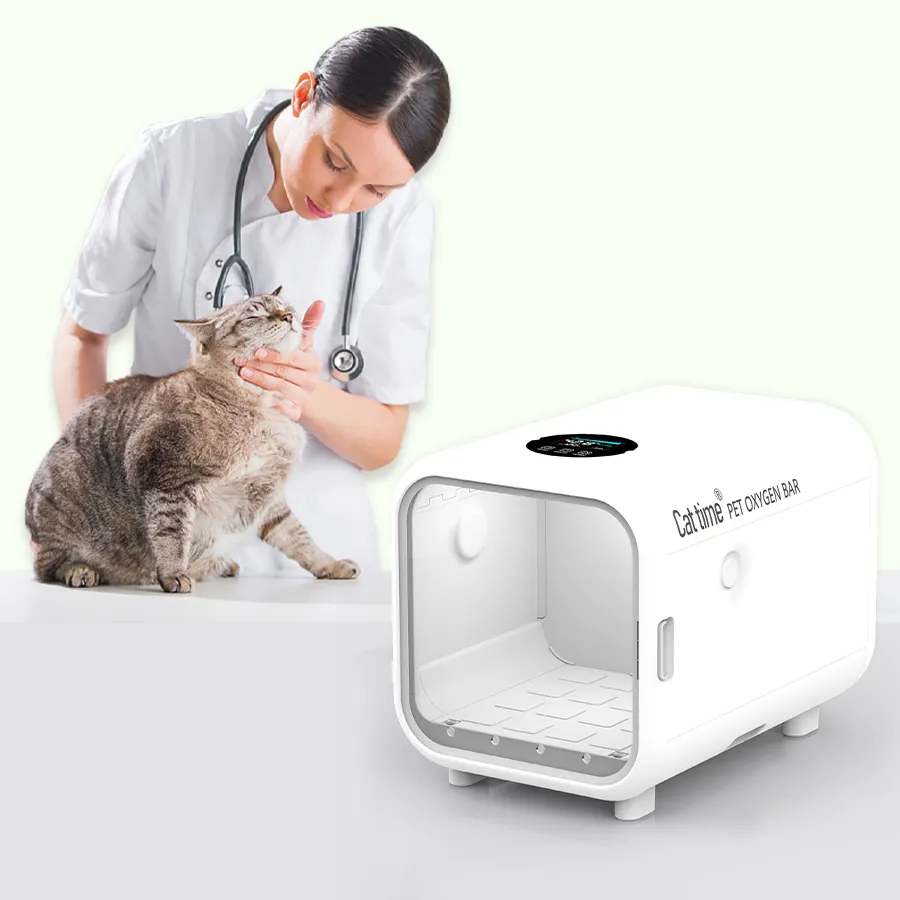 Manufacture professional factory pet oxygen chamber cat and dog oxygen supply warehouse veterinary animal clinic equipment