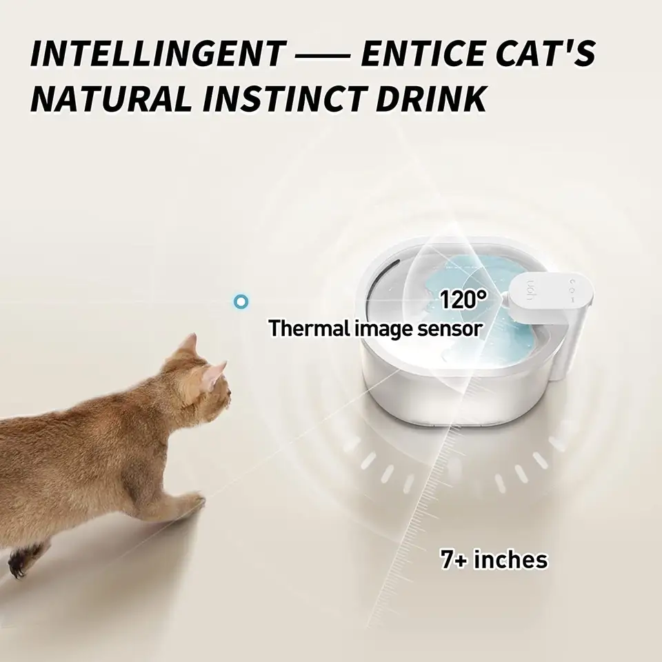 Wholesale Smart Pet Water Fountain Ultra Quiet Wireless Automatic Circulation Cat Fountain