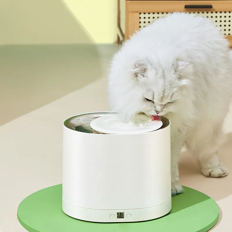 Cat Drinking Water Dispenser Auto Dog Water Bowl