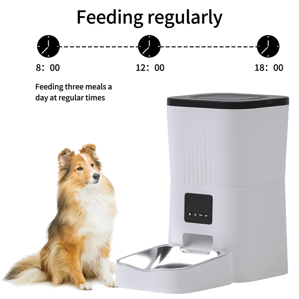 Wholesale Tuya Smart Pet Feeder Can Set Timing Automatic Cat Feeder App Control Operation Simple Dog Bowl color