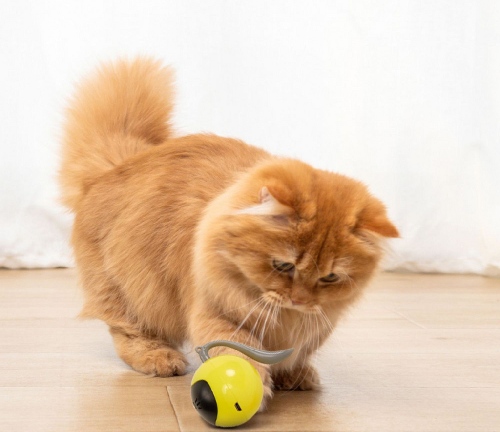 Wholesale electric pet toy ball intelligent LED electric cat toy automatic cat teasing ball cat dog interactive sports toy