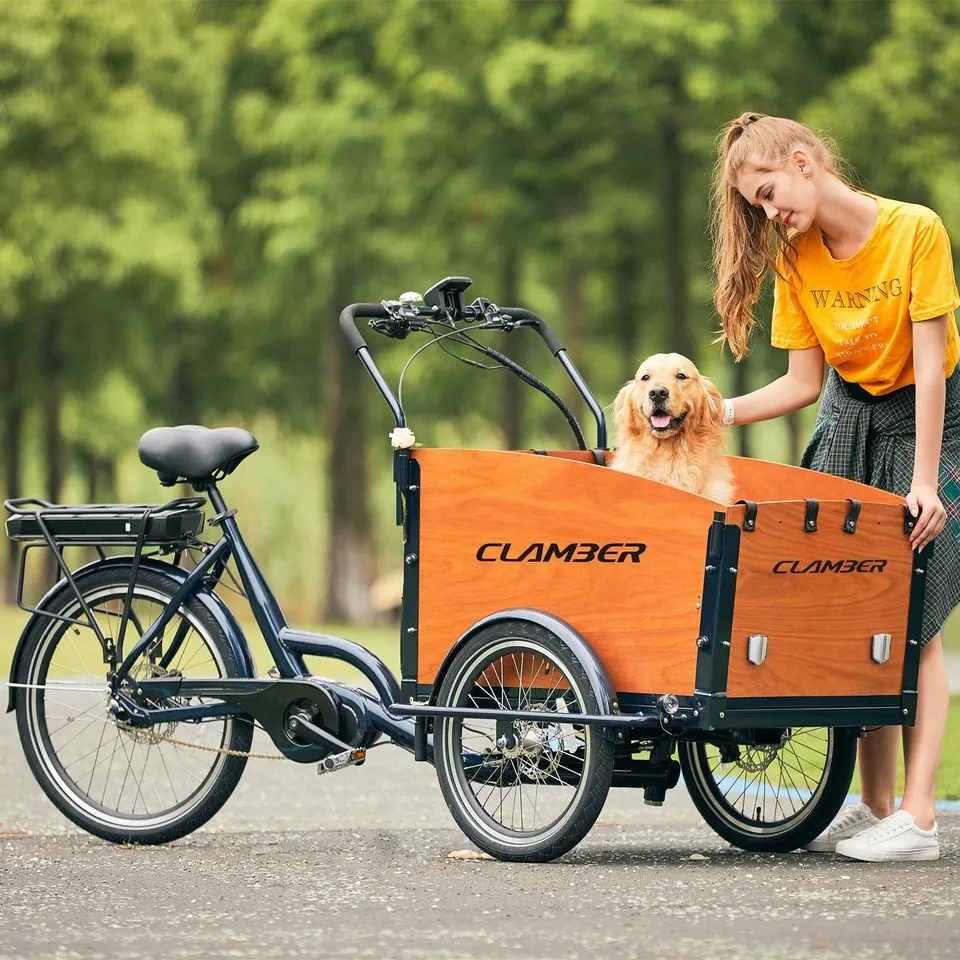 household electric tricycle Factory direct sale pet electric tricycle dog travel bicycle motorized hydraulic disc brake 