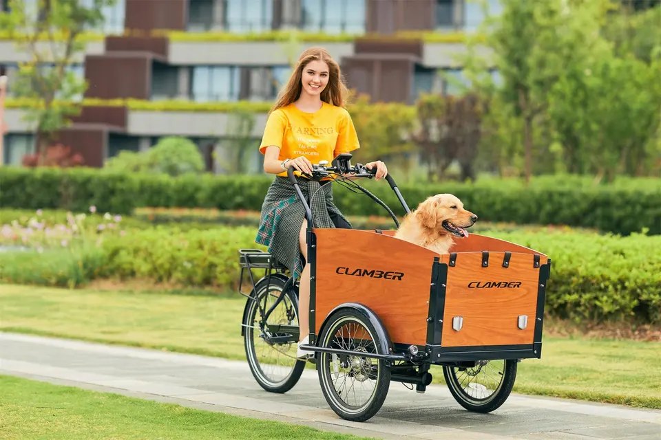 Factory direct sale pet electric tricycle dog travel bicycle motorized hydraulic disc brake household electric tricycle