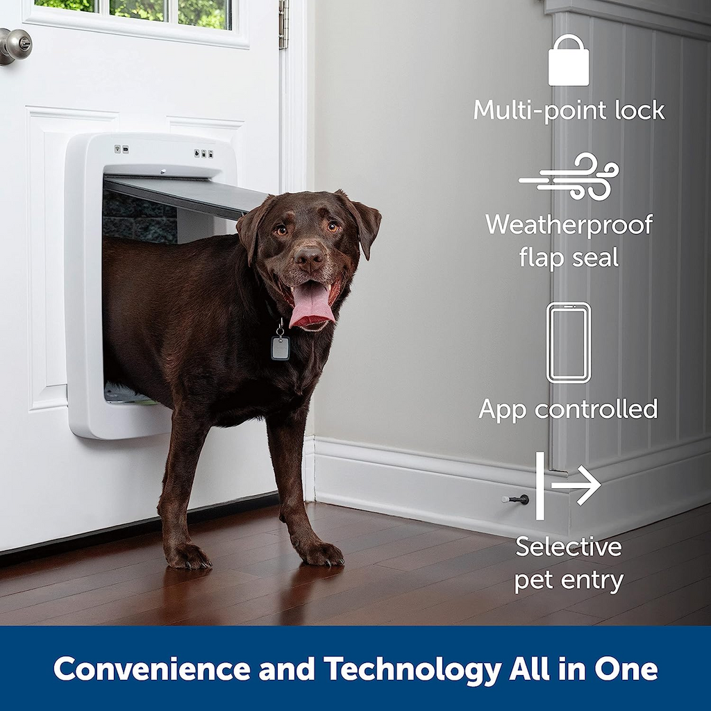 Weatherproof baffle Timer smart dog safety door Wholesale Smart pet safety door App remote control 