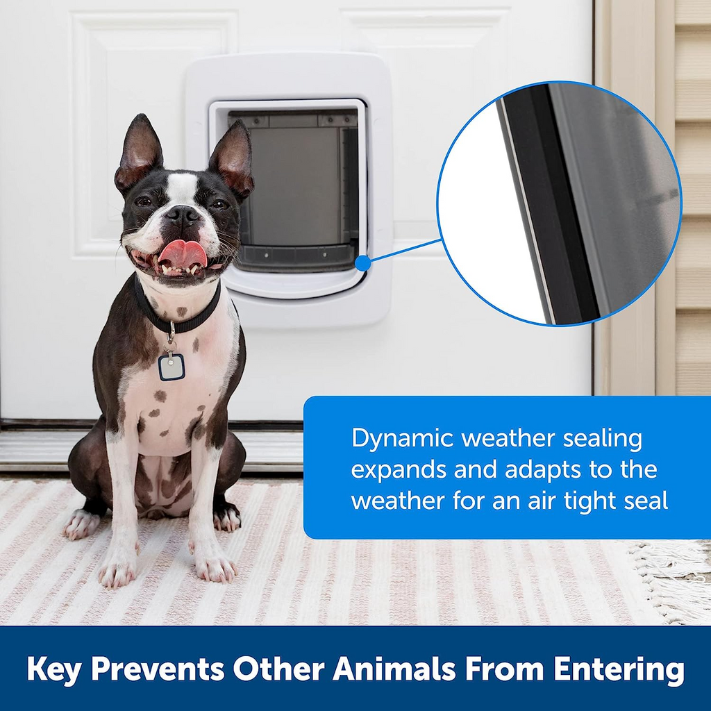 Wholesale Smart pet safety door App remote control Weatherproof baffle Timer smart dog safety door