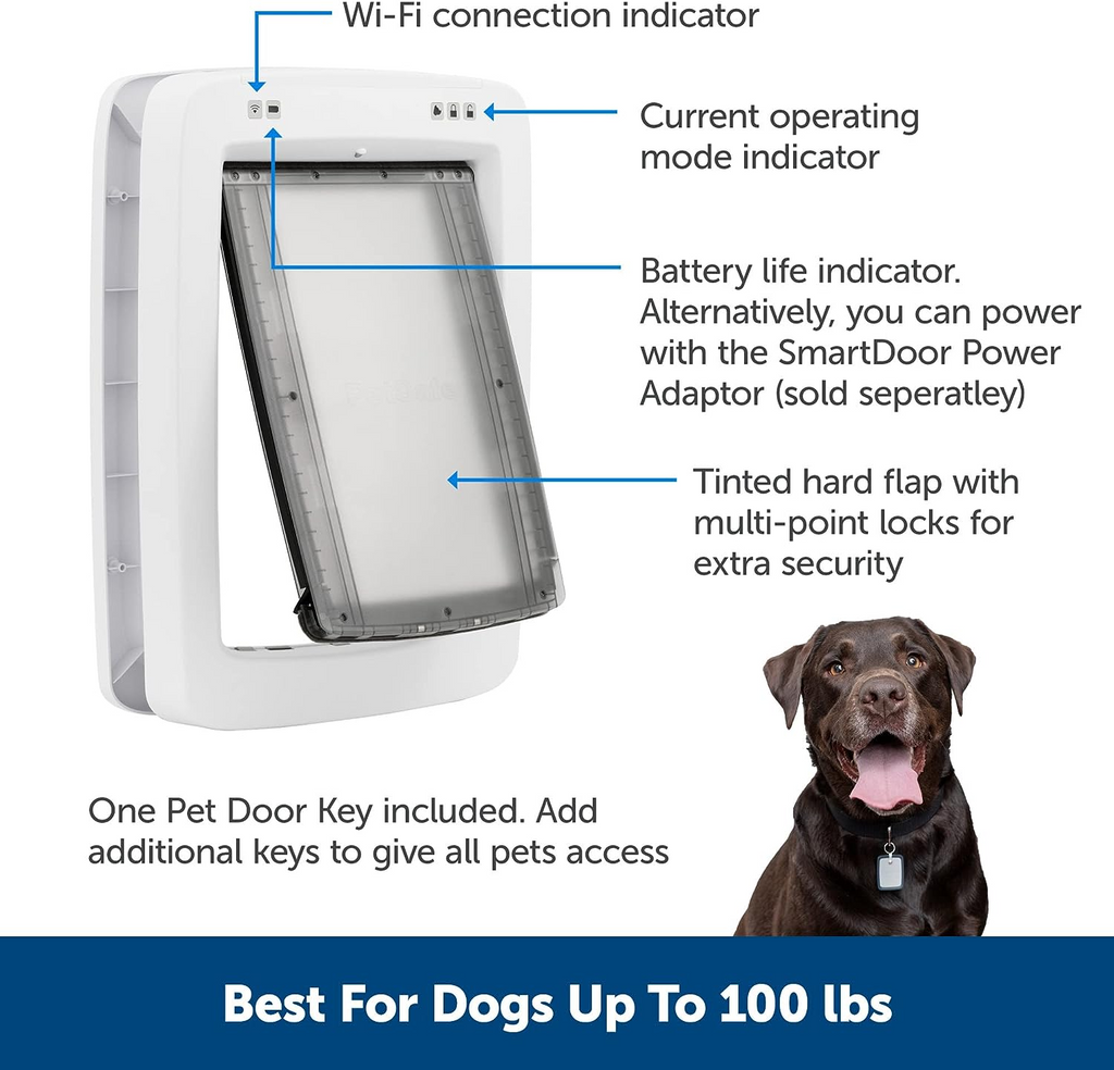 Wholesale Smart pet safety door App remote control Weatherproof baffle Timer smart dog safety door