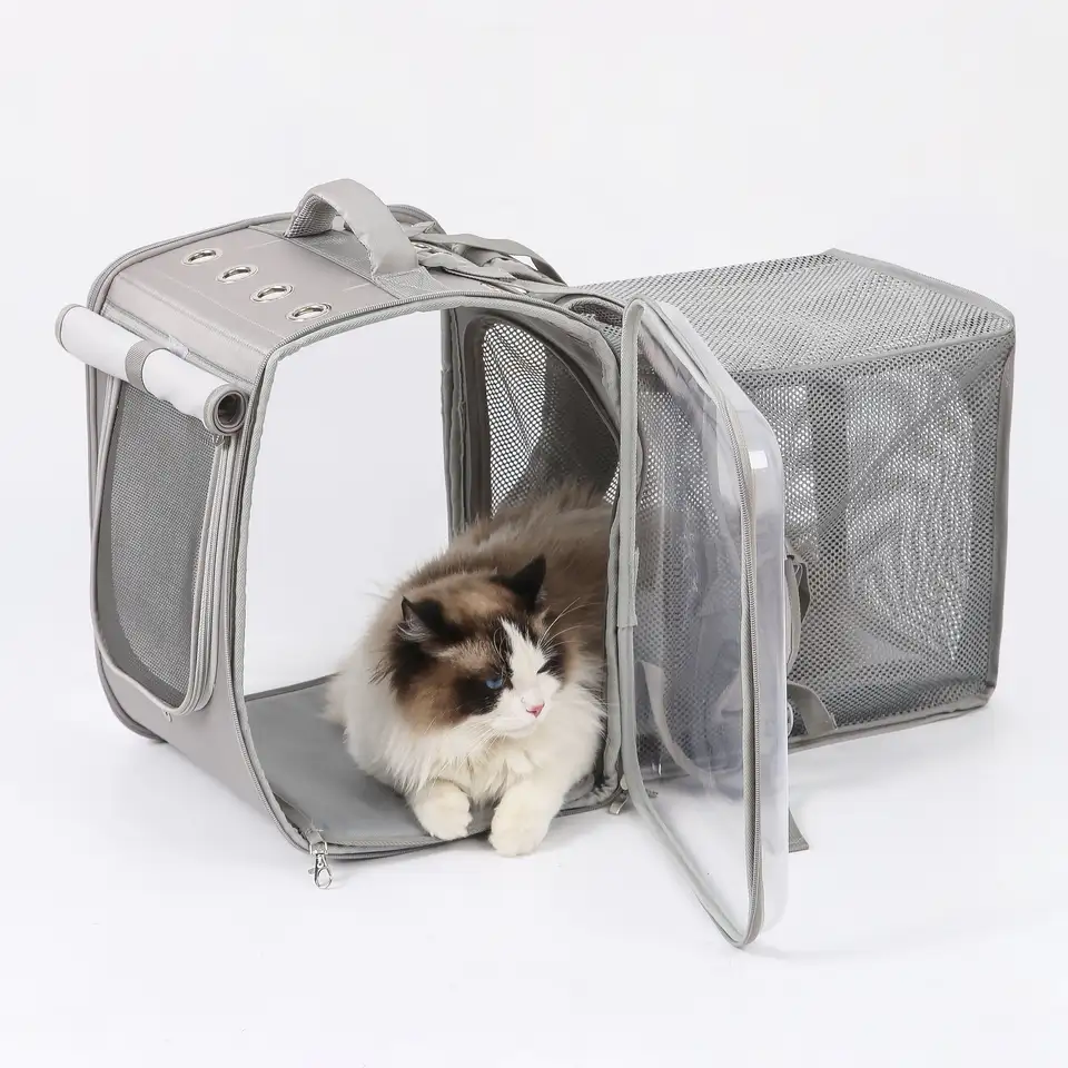 New Design Portable Pet Travel Bag Expandable Dog Backpack with Mesh Cardboard Cat Outing Backpack