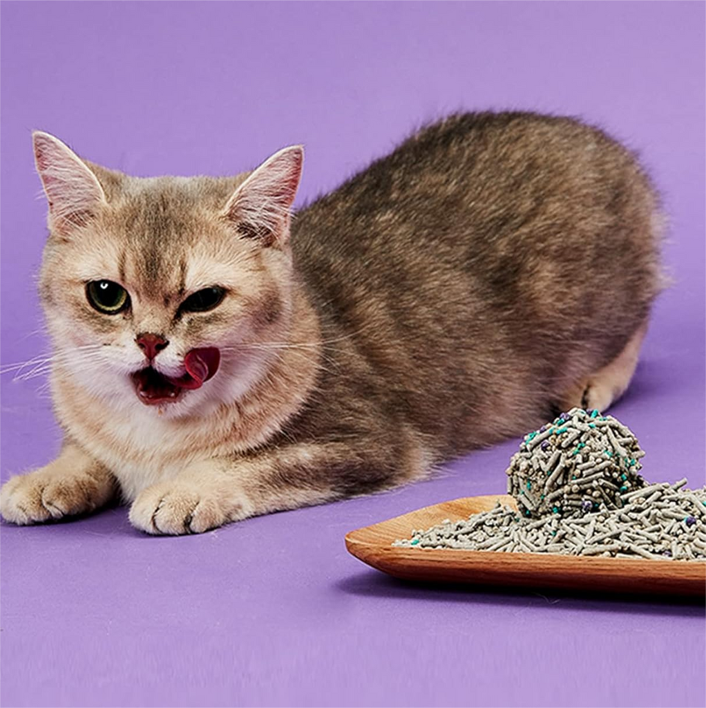 PETKIT Extra Large Self Cleaning Smart Cat Litter Box with Mat for Multi Cats, Automatic, 