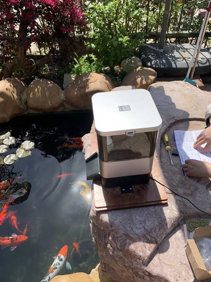 Automatic Solar feeder for fish,Solar koi fish feeder