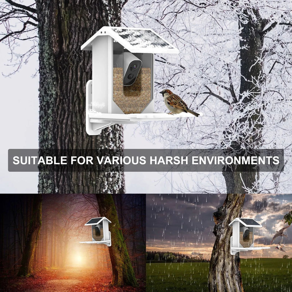 Outdoor Wildlife Wifi Camera Capture Pictures Photos Video AI Recognize Bird Species Smart Bird Feeder for Garden