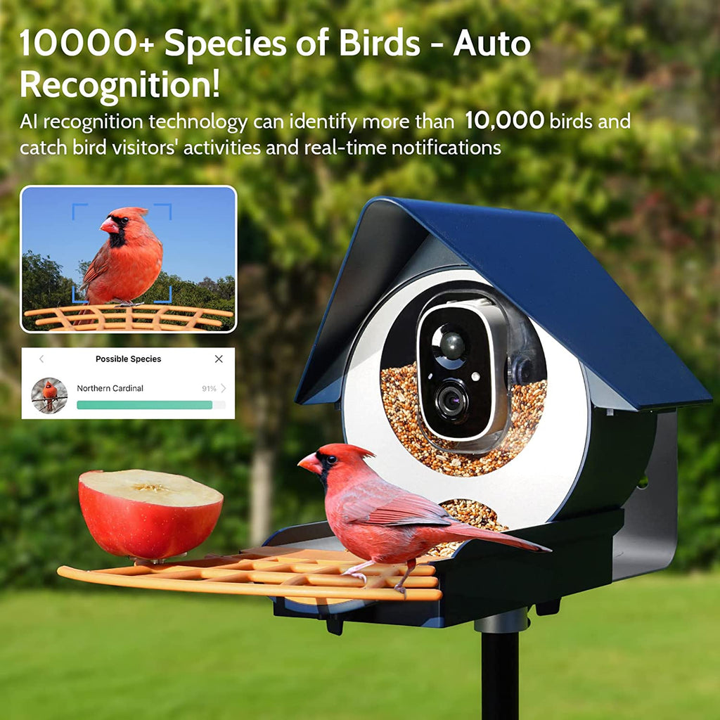 Smart Bird Feeder Solar Charging Identify Bird Species Auto Capture Videos Bird Feeder with Camera