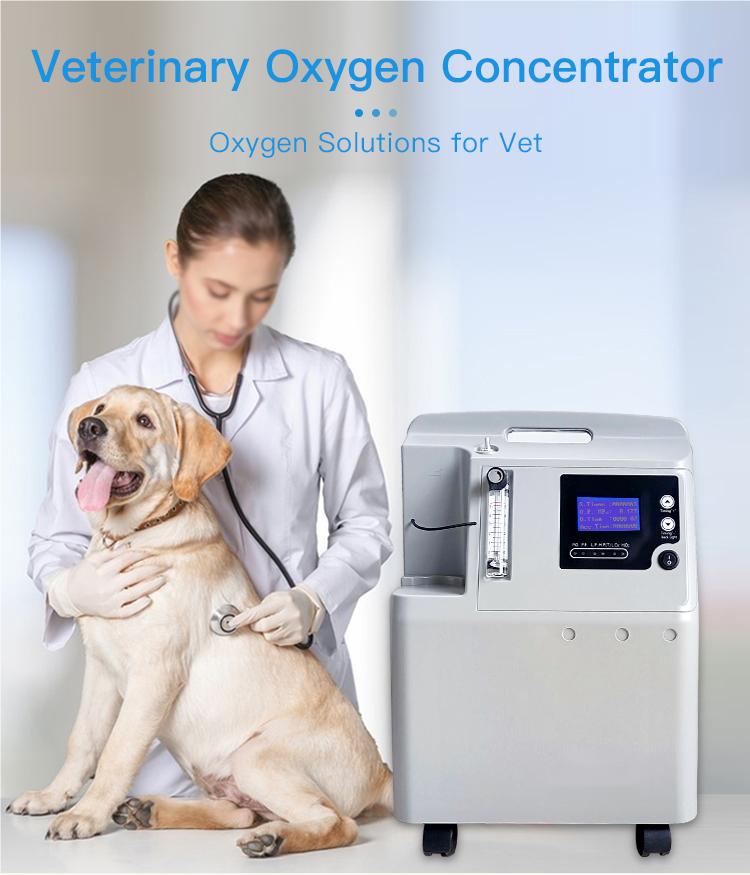 Pet Animals Oxygen Therapy 5L PSA Oxygen Concentrator For Veterinary Hospital