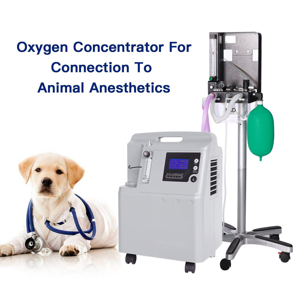 intelligent veterinary special oxygen generator pet health special OEM