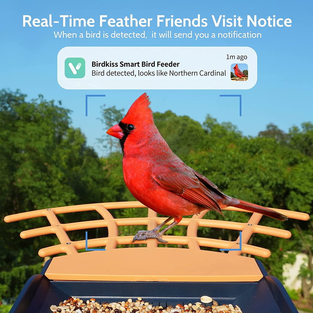 Smart Bird Feeder Solar Charging Identify Bird Species Auto Capture Videos Bird Feeder with Camera