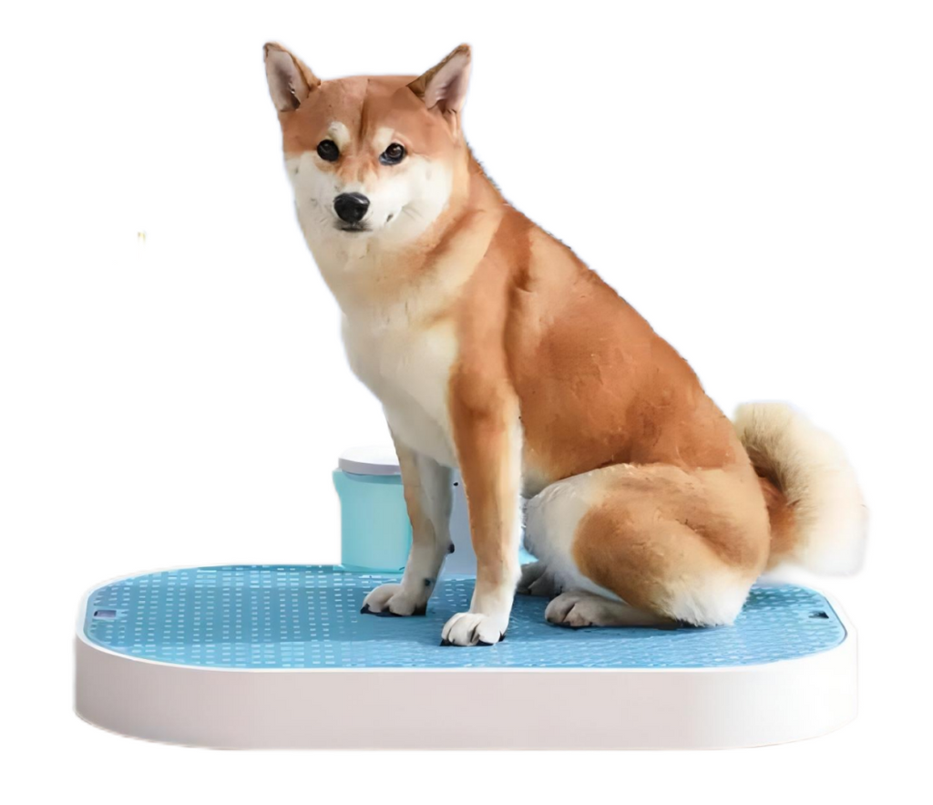 Hot Selling Plastic Dog Indoor Pet Potty Tray Park Corner Dog Wee Pee Pads Tray Training Dog Toilet