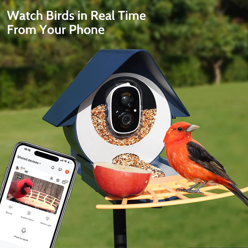 Smart Bird Feeder Capture Bird 2.4GHz WiFi Battery IP65 1080P PIR Motion Detection Full Color Night Vision Two Way Audio Camera