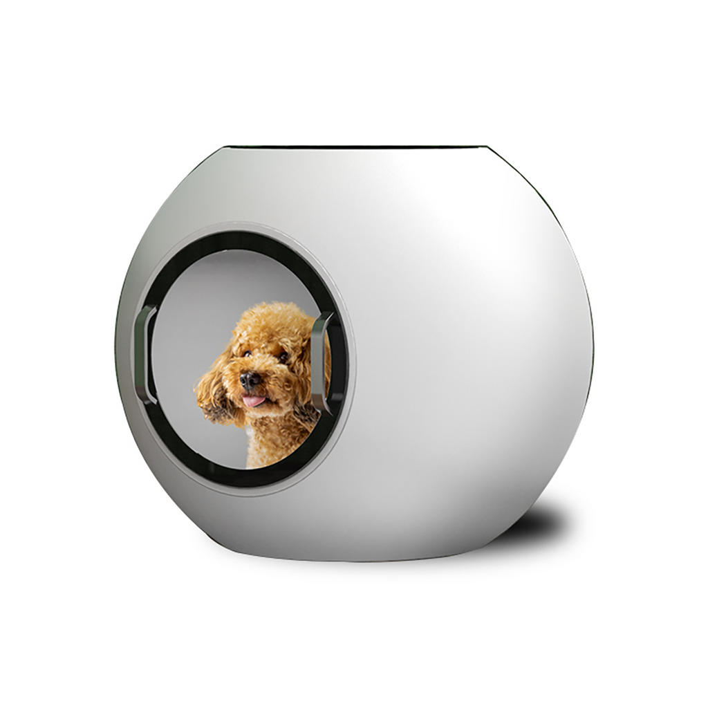 Multifunctional Mute Powerful Smart Pet Cool Warm Nest Mode WiFi Pet Dryer with Comfort Pet Window Design