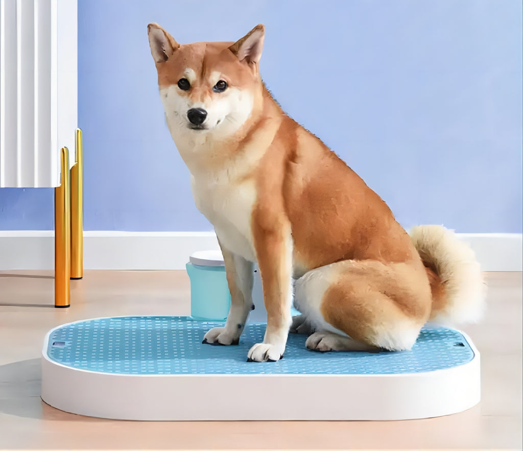 Hot Selling Plastic Dog Indoor Pet Potty Tray Park Corner Dog Wee Pee Pads Tray Training Dog Toilet