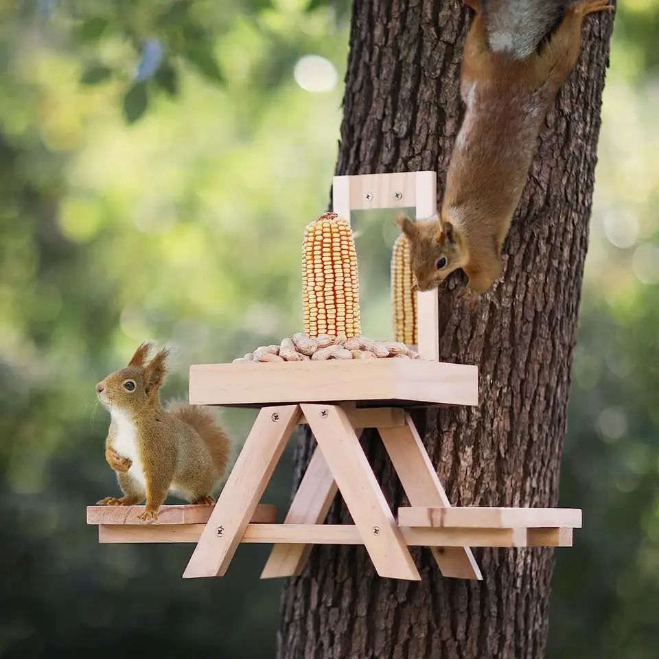 Manufacture Funny Wooden Squirrel Food Feeder Outdoor Squirrel Picnic Table Feeder For Outside Garden