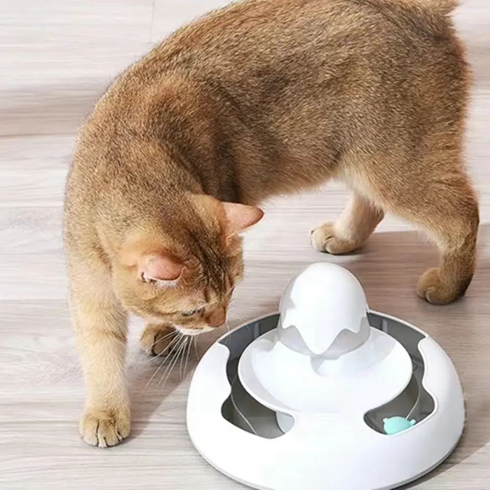 PetSafe Bolt Automatic, Interactive Laser Cat Toy – Adjustable Laser with Random Patterns Small