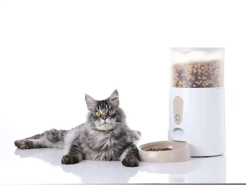 APP control voice play 4L capacity controllable pet cat and dog feeder OEM