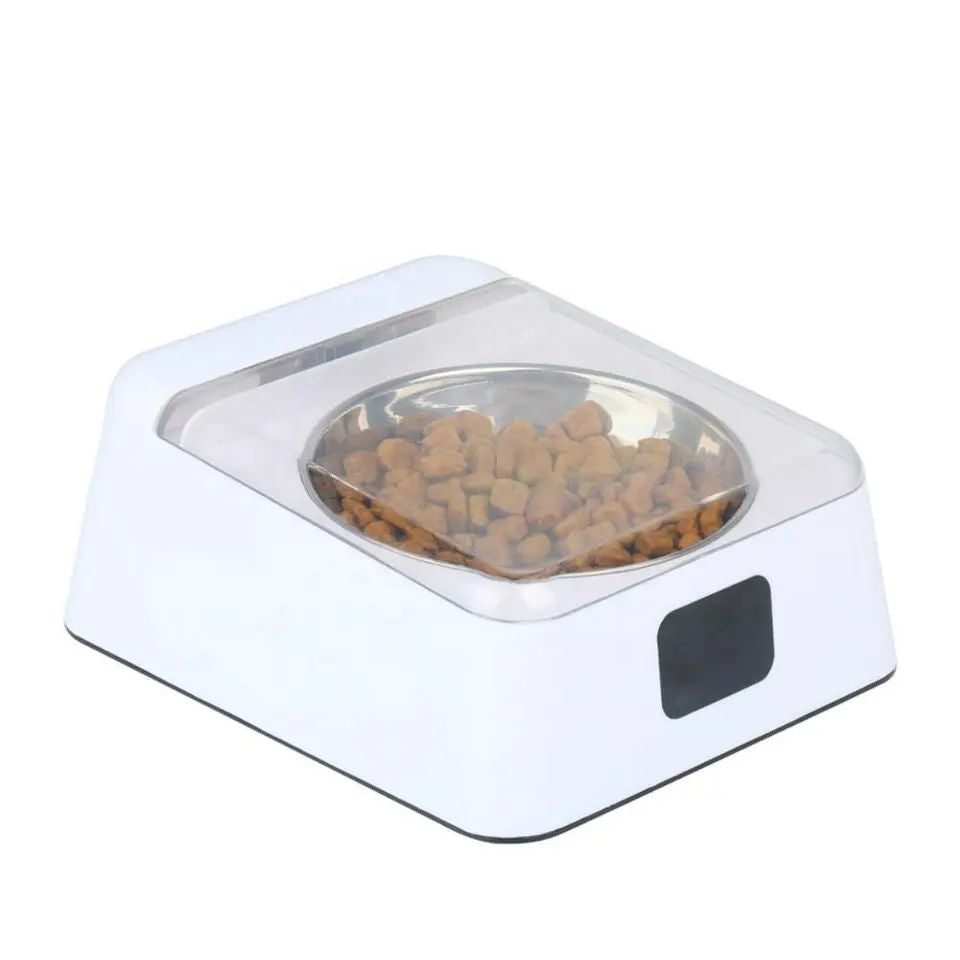 cat food bowl elevated tilted ceramic pet bowl with stainless steel bowl