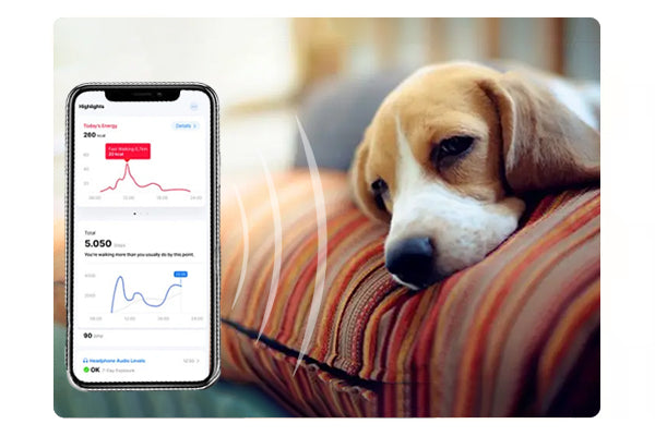 Sensors for pet supplies to detect body temperature, pulse, etc. PET HUHOU app real-time monitoring. If the pet is sick, the owner can use this function to monitor the pet's physical condition in real time.